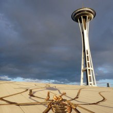 Enormous Daddy Long-Legs Overtake the Seattle Center Armory