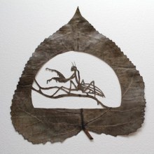 New Cut-Away Leaf Art by Lorenzo Durán