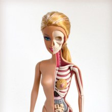 Anatomical Barbie by Jason Freeny