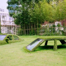 Cars Swallowed by Grass at CMP Block in Taiwan