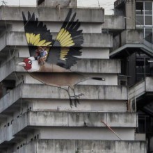 Artists Take a Ride on a 4-Story Goldfinch Painted on an Abandoned Building in Naples