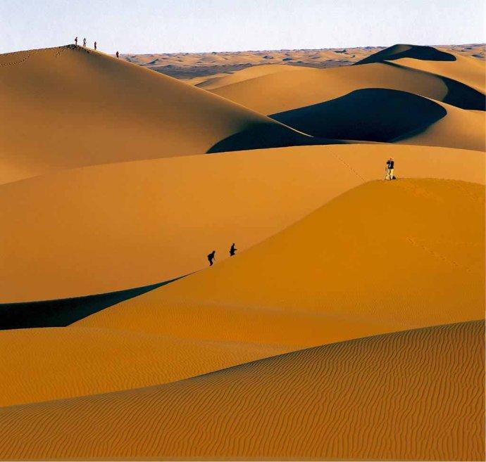 Beautiful desert