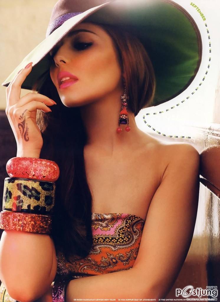 Cheryl Cole : Official Calendar 2013