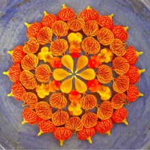 Flower Mandalas by Kathy Klein