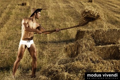 Modus Vivendi : Harvester Collection : HQ images