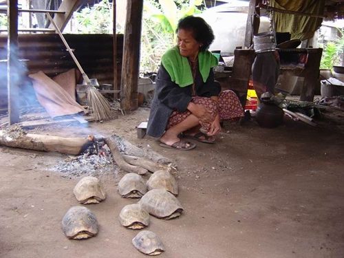 หมู่บ้านเต่า