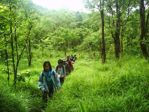 ป่าภูเม็งที่ยังอุดมสมบูรณ์