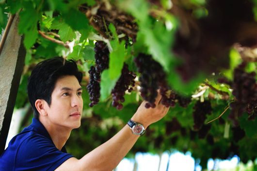 หนังใหม่ ยอดมนุษย์เงินเดือน