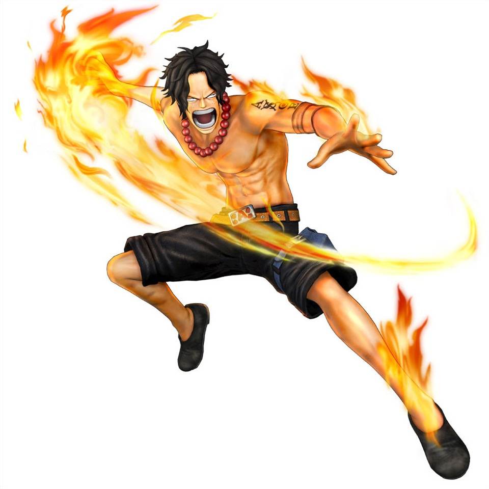 One Piece : Pirate Warriors [PS3]