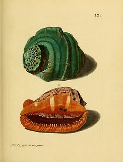 มองให้อาร์ท 53