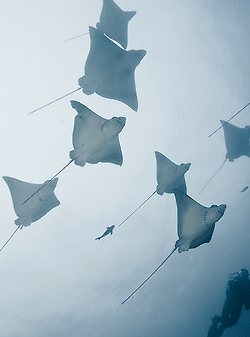 มองให้อาร์ท 53