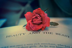 มองให้อาร์ท 53