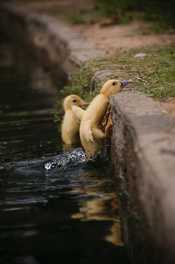 มองให้อาร์ท 53