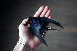 มองให้อาร์ท 53