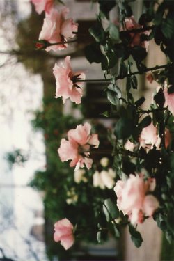 มองให้อาร์ท 53