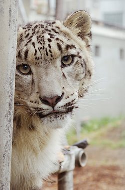 มองให้อาร์ท 53