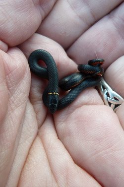 มองให้อาร์ท 53