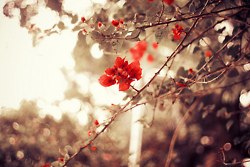 มองให้อาร์ท 54