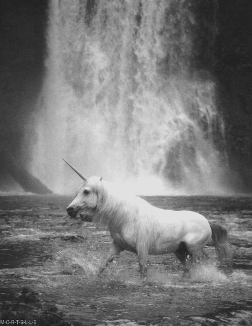 มองให้อาร์ท 54