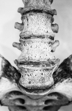 มองให้อาร์ท 55