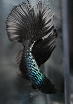 มองให้อาร์ท 55