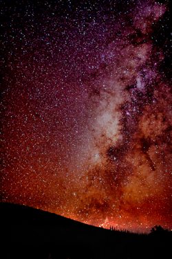 มองให้อาร์ท 55