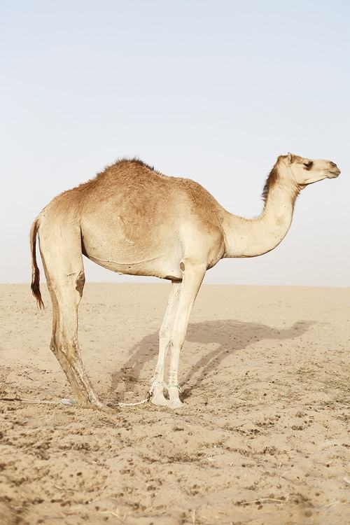 มองให้อาร์ท 55