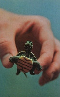 มองให้อาร์ท 56