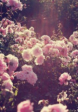 มองให้อาร์ท 56