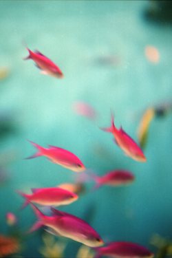 มองให้อาร์ท 56