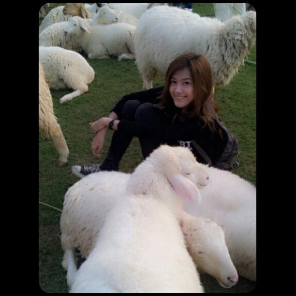 แนท ณัฐชา นวลแจ่ม