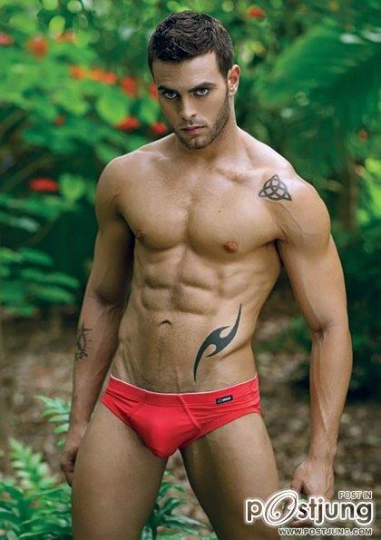 Andrew Corvin by David Vance