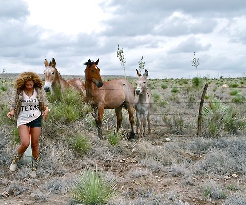 beyoncé: texas appreciation