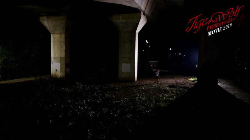 หล่อลากไส้ หนังใหม่ ฉายต้นปี 2013