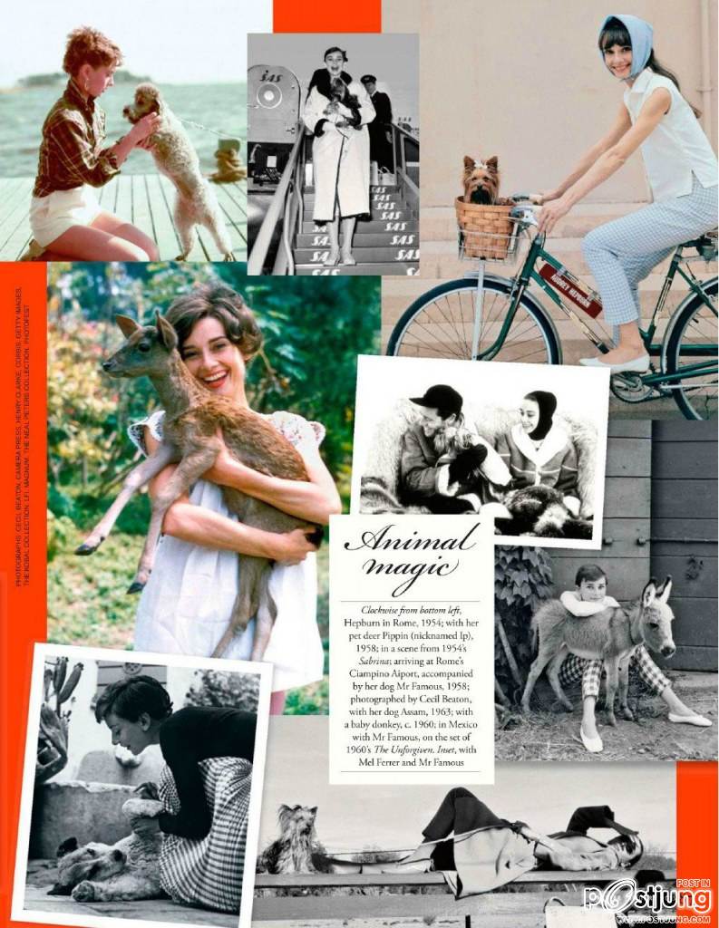 The Unseen... Audrey Hepburn @ Tatler UK Magazine January 2013