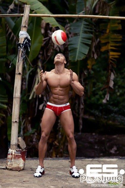 Update : ES Collection Brasil