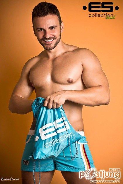 Update : ES Collection Brasil