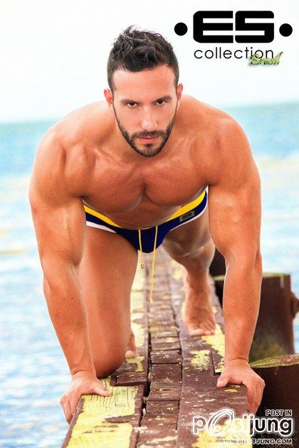 Update : ES Collection Brasil