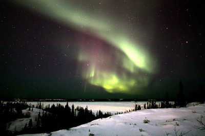 A beautiful World 10