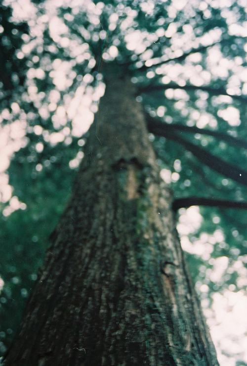 A beautiful World 10