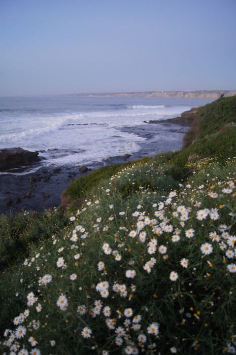 A beautiful World 10