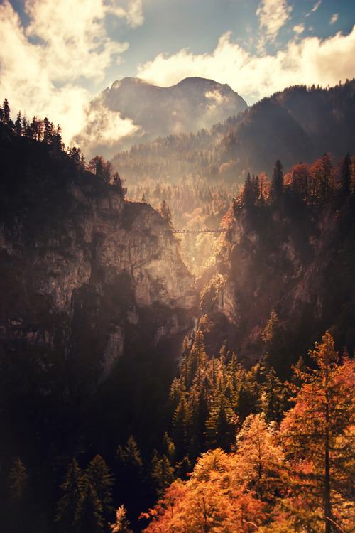 A beautiful World 10