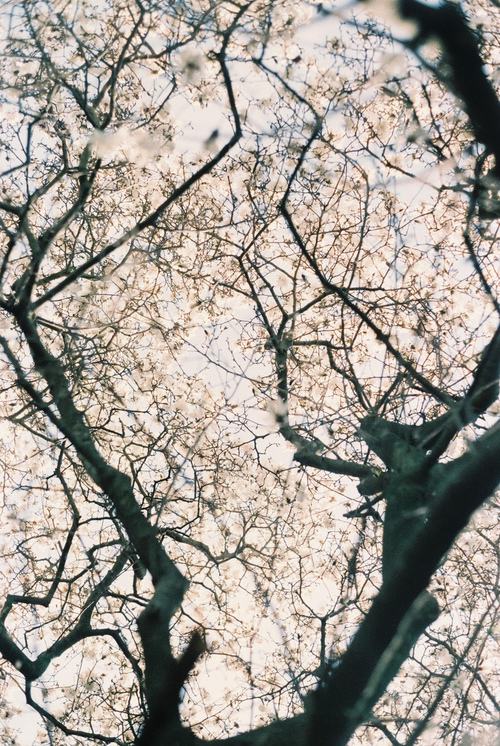 A beautiful World 10