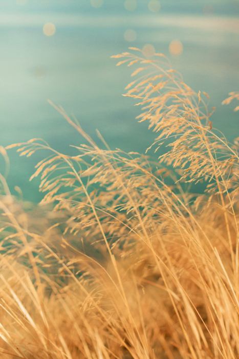 A beautiful World 10