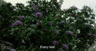 A beautiful World 10