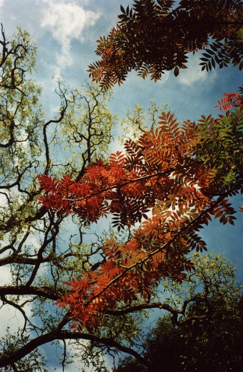 A beautiful World 10