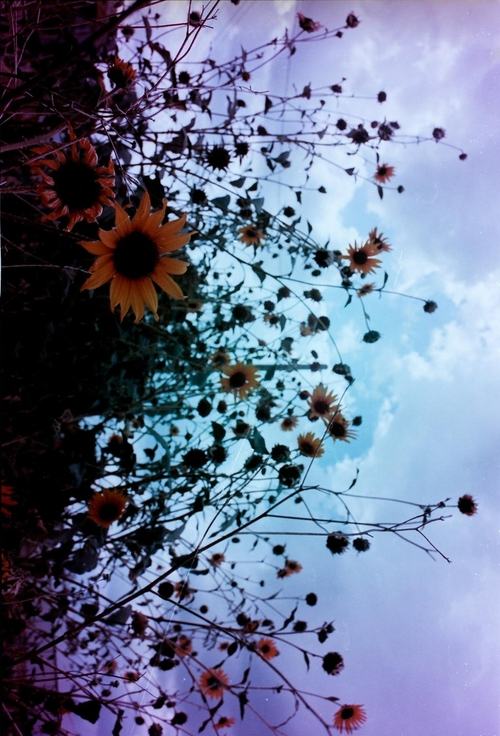 A beautiful World 10