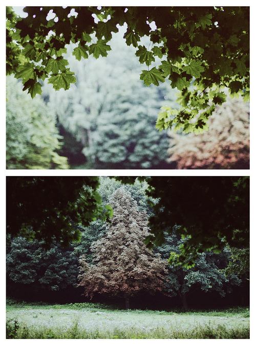 A beautiful World 10