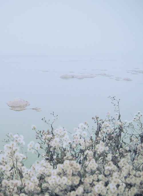 A beautiful World 10