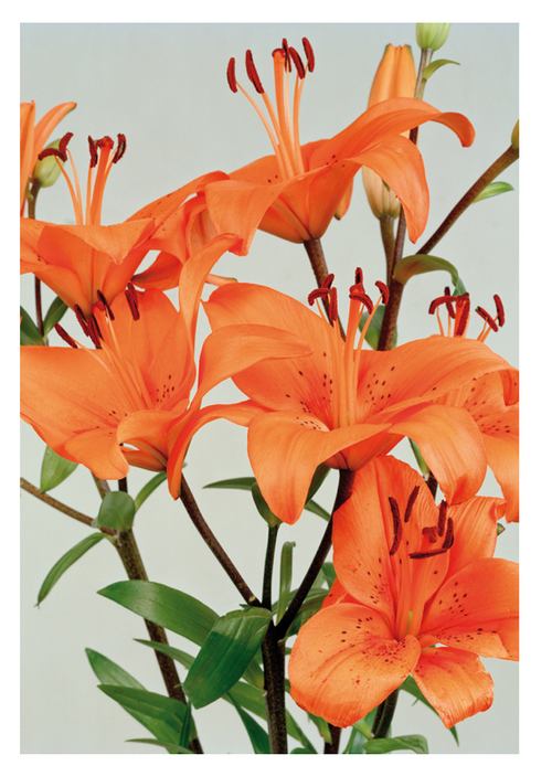 A beautiful World 10